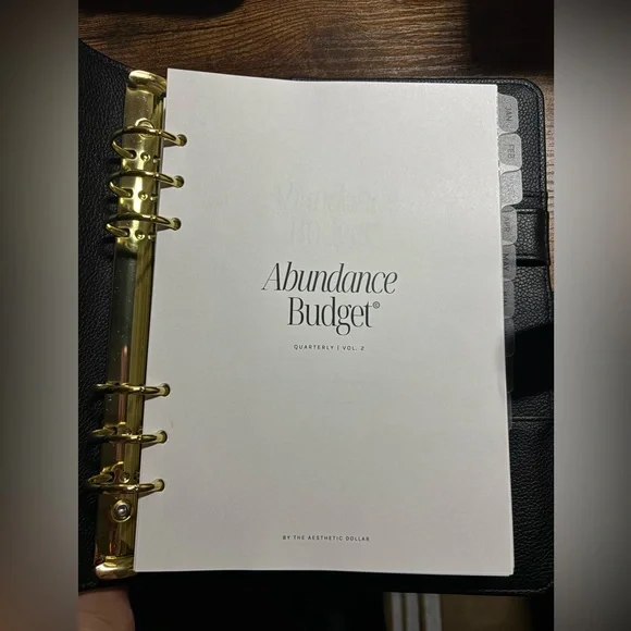 The Aesthetic Dollar A5 Binder + Month Tabs and Abundance Budget - Picture 2 of 3